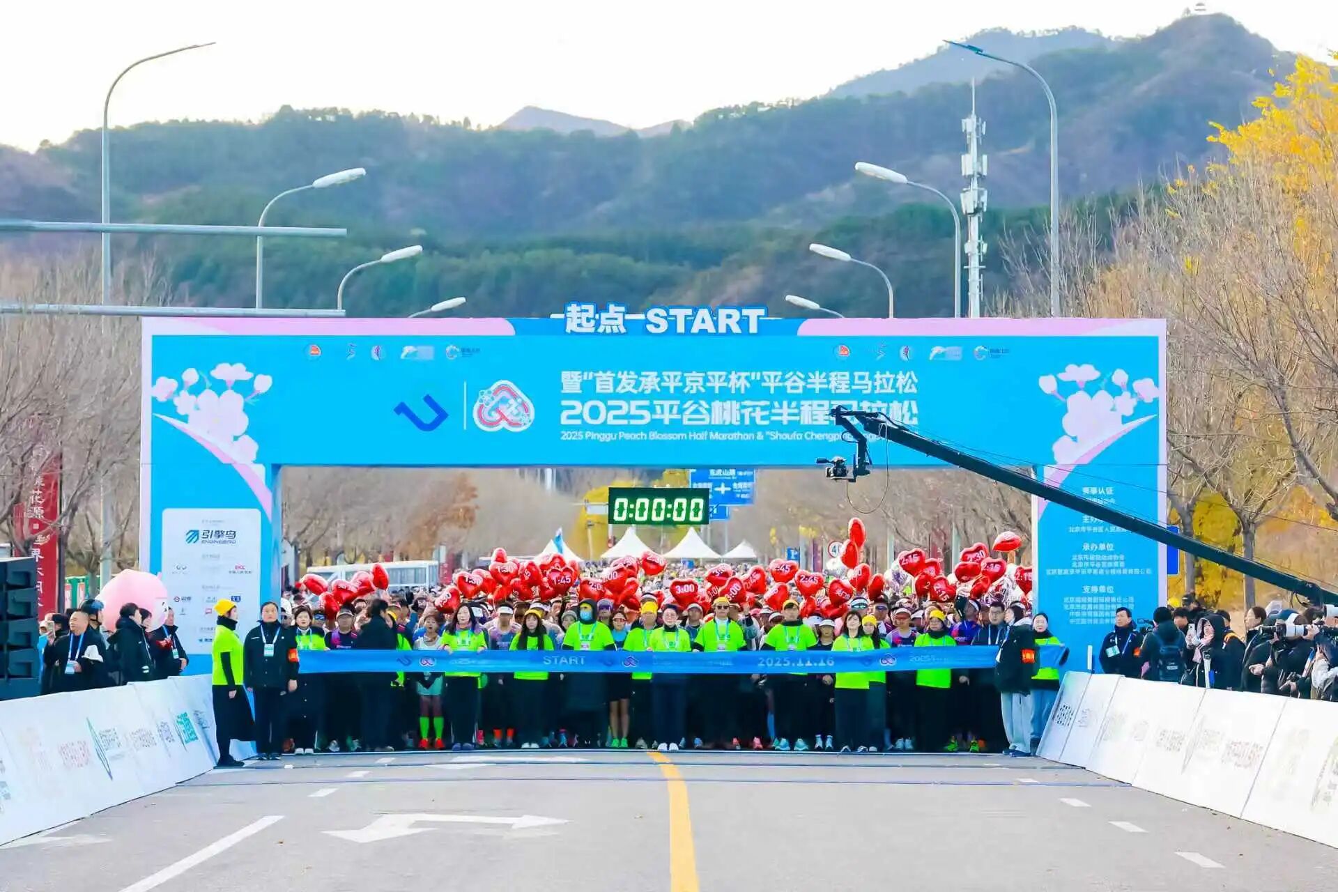 1767576837480696.jpg 桃花3.jpg