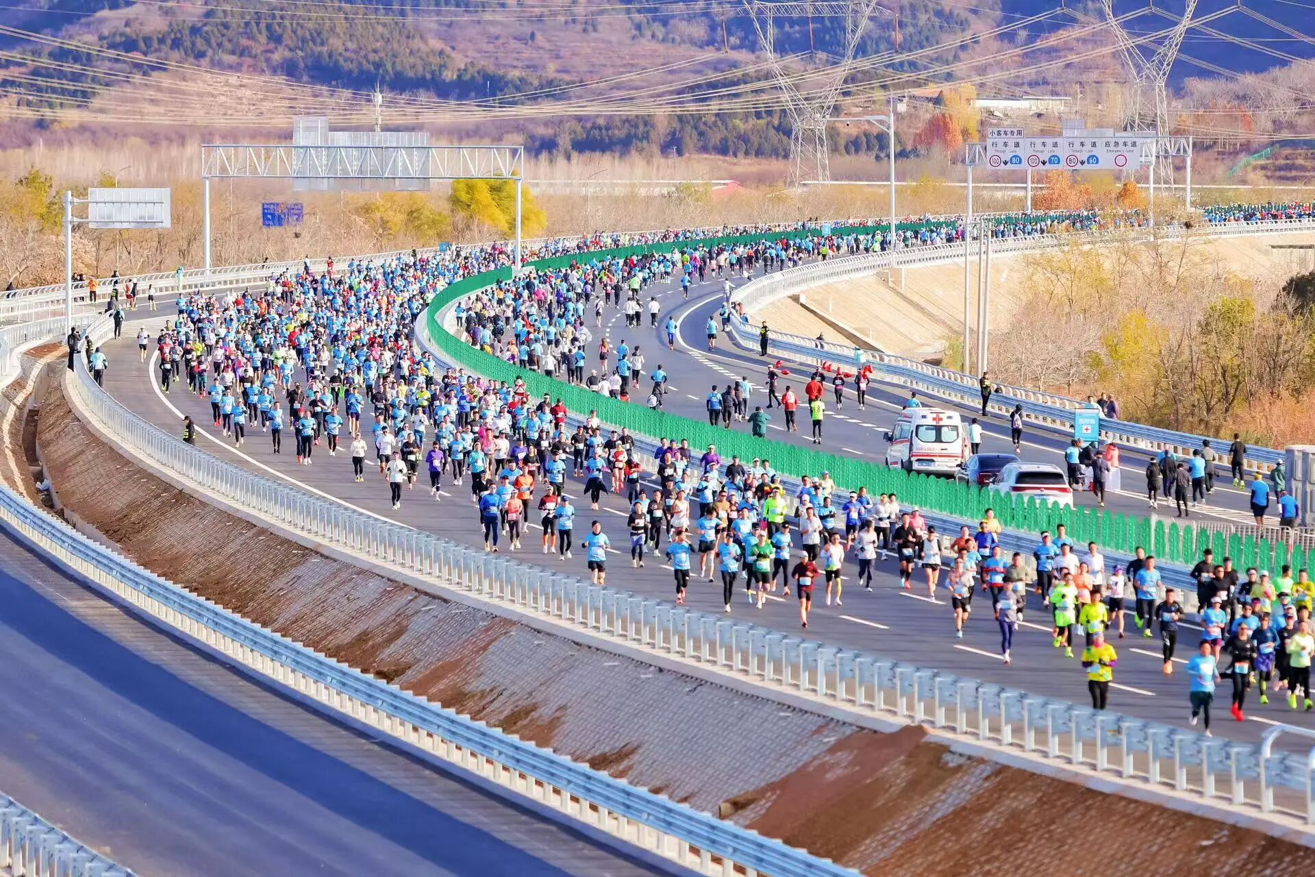 1767576848930420.jpg 桃花4.jpg